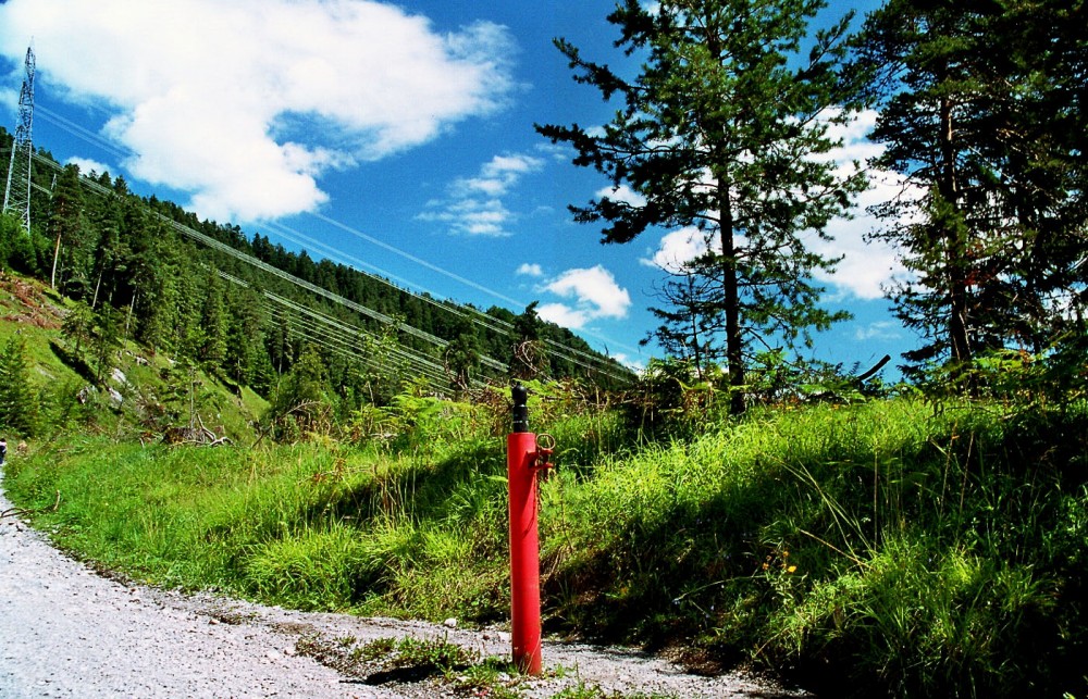 Clicca per vedere l'immagine alla massima grandezza