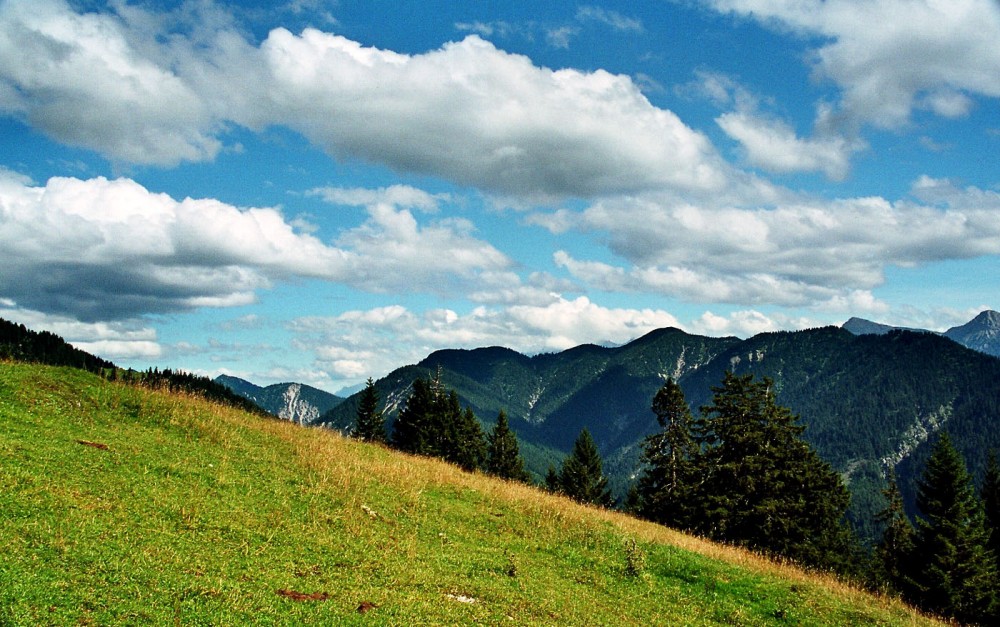 Clicca per vedere l'immagine alla massima grandezza