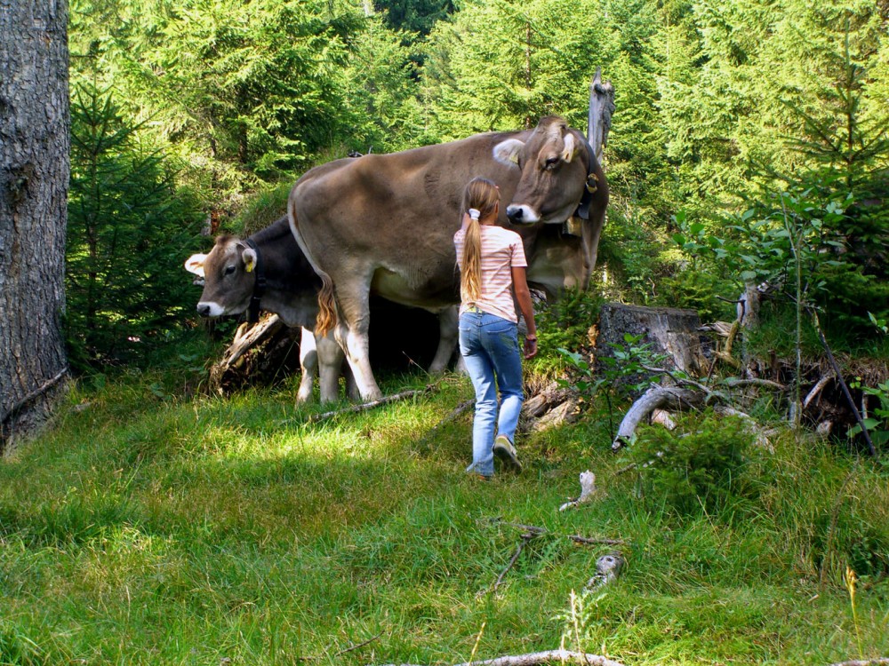 Klikni za ogled večje slike