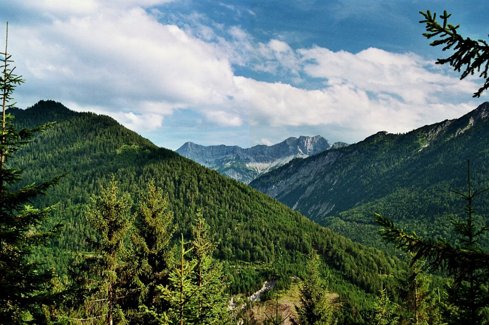 Klikni za ogled večje slike