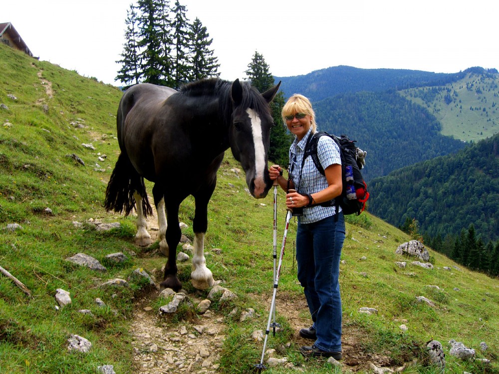 Klikni za ogled večje slike