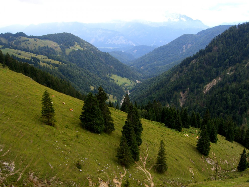 Klikni za ogled večje slike