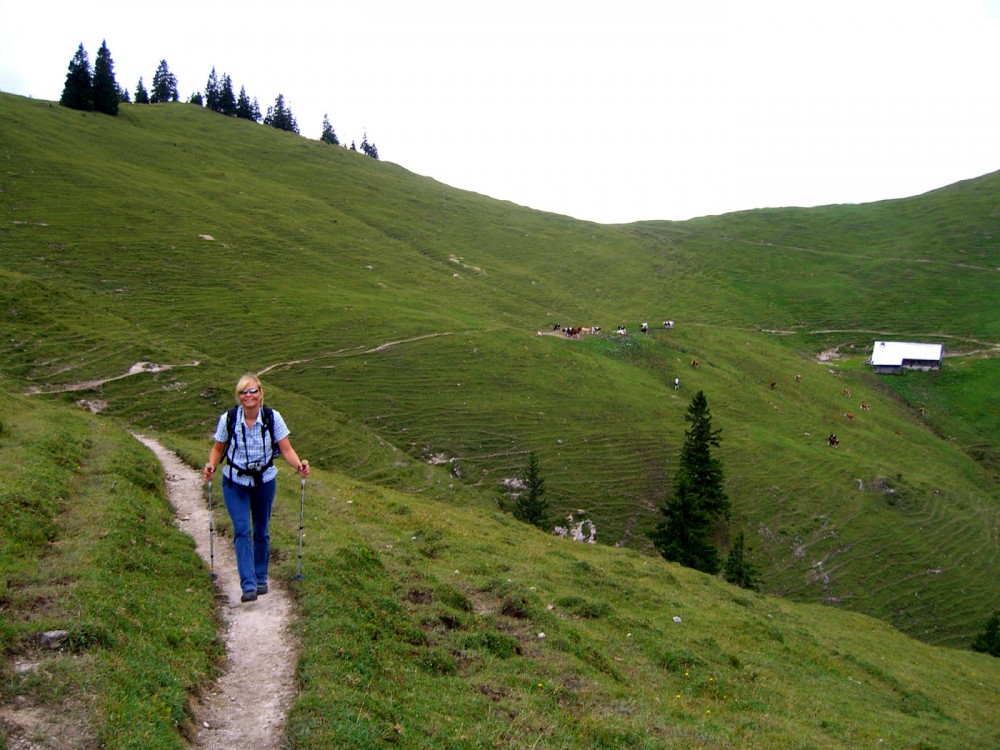 Klikni za ogled večje slike