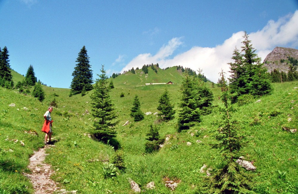 Clicca per vedere l'immagine alla massima grandezza