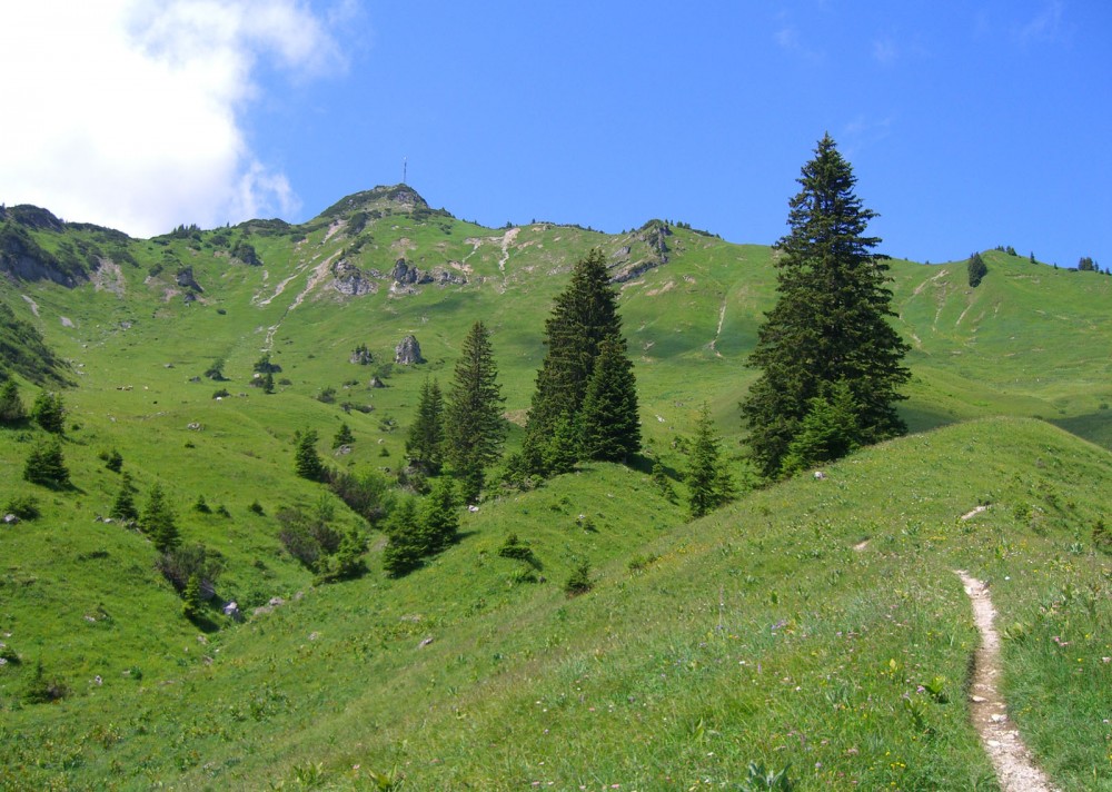 Klikni za ogled večje slike