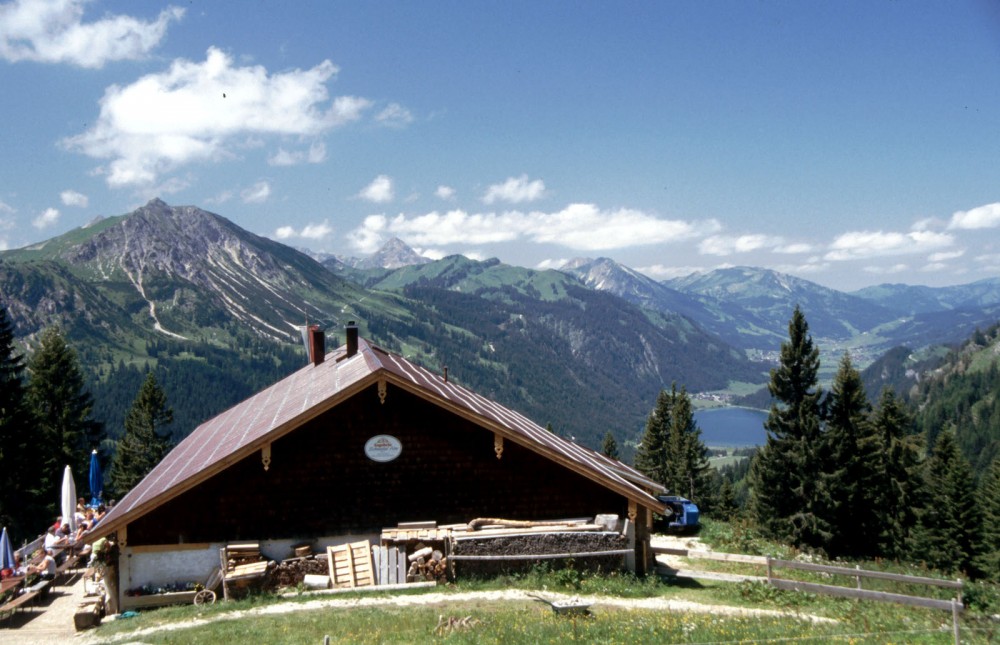 Clicca per vedere l'immagine alla massima grandezza