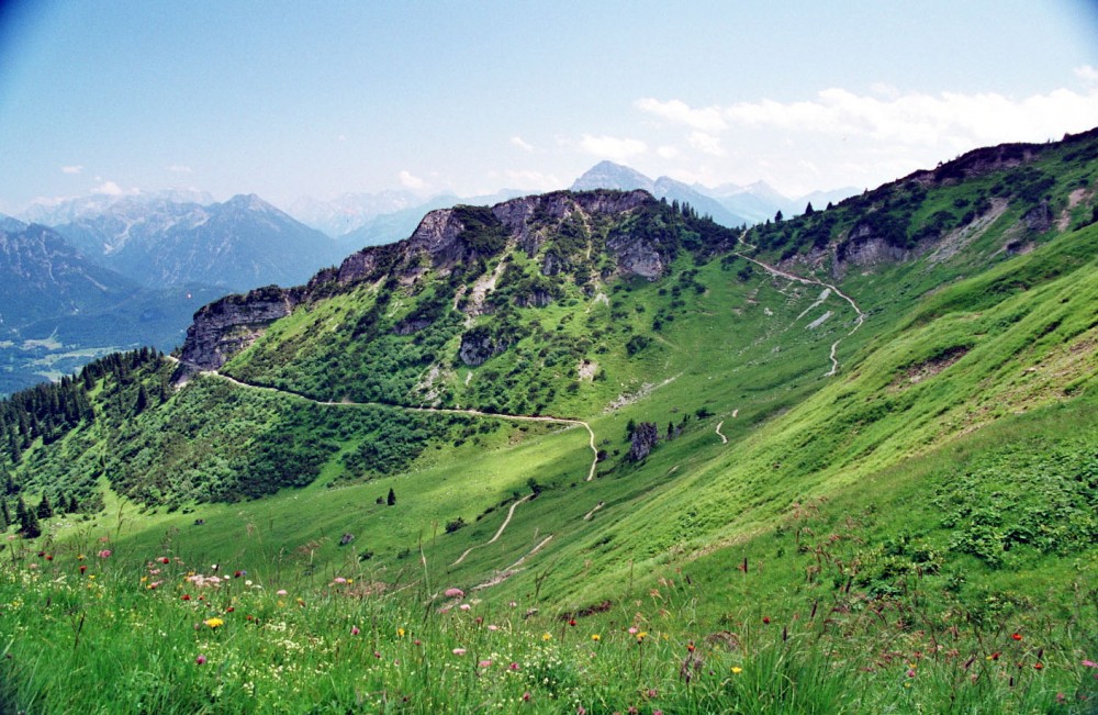 Klicken für Bild in voller Größe