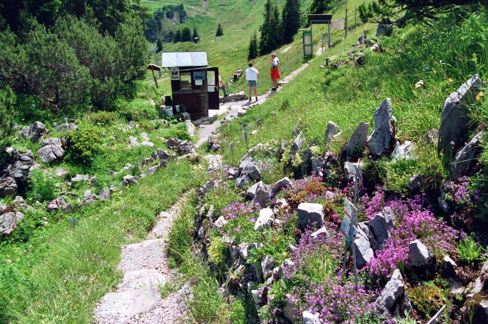 Klikni za ogled večje slike