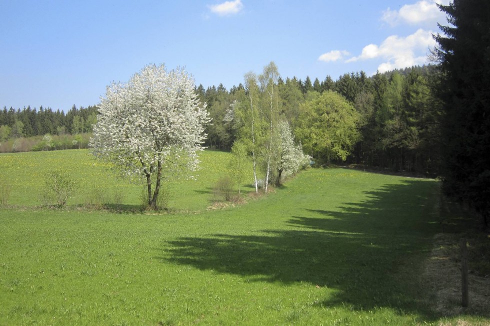 Kliknite pre zobrazenie veľkého obrázka