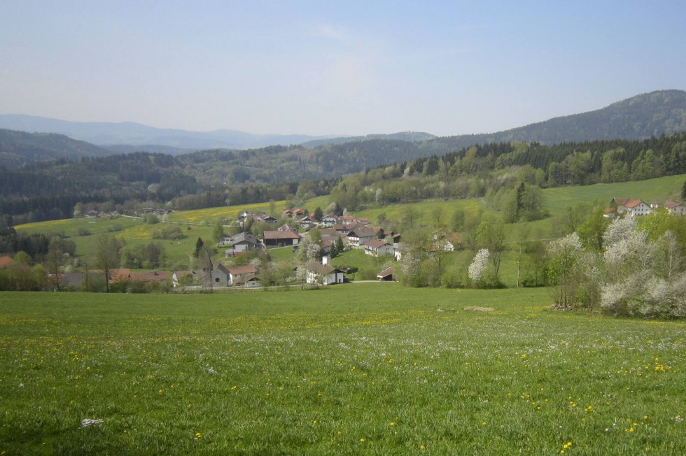 Klikni za ogled večje slike