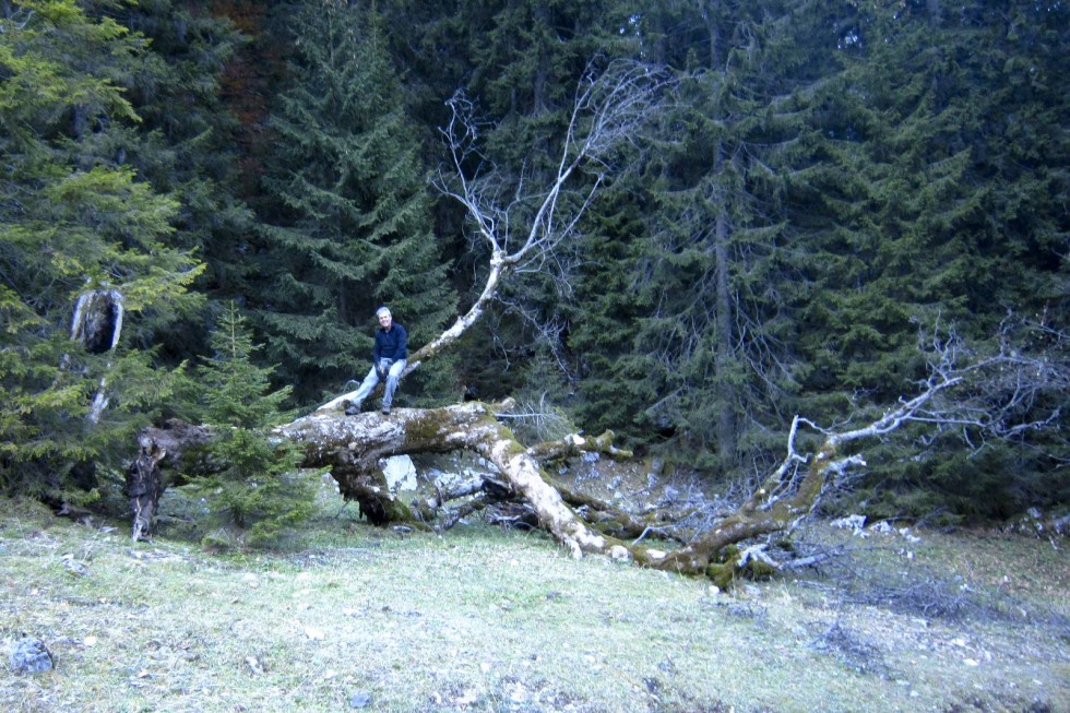 Clicca per vedere l'immagine alla massima grandezza