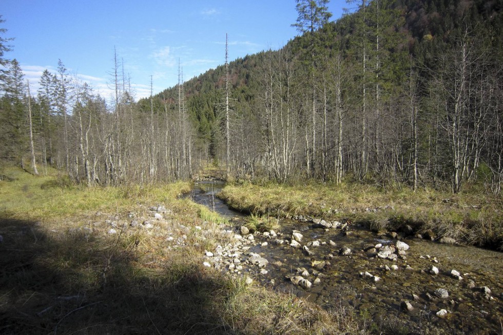 Klikni za ogled večje slike