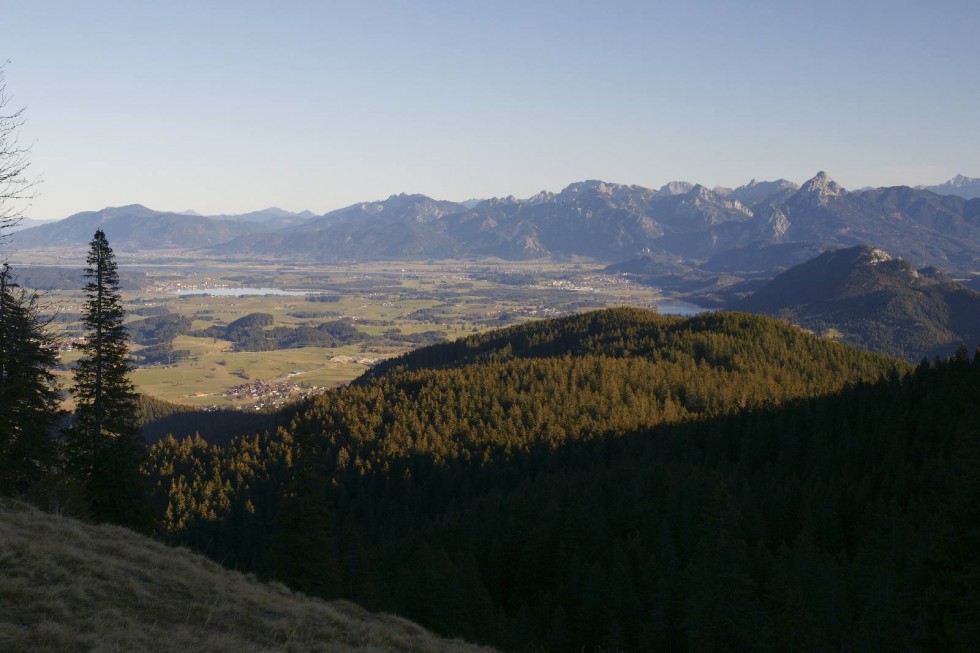 Clicca per vedere l'immagine alla massima grandezza