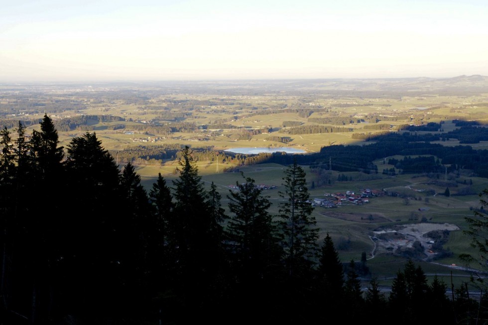 Klicken für Bild in voller Größe