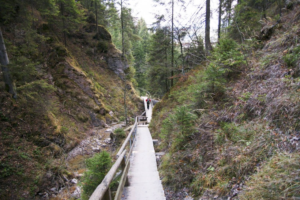 Clicca per vedere l'immagine alla massima grandezza