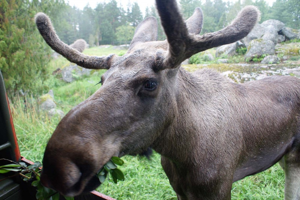 Klik for fuld størrelse