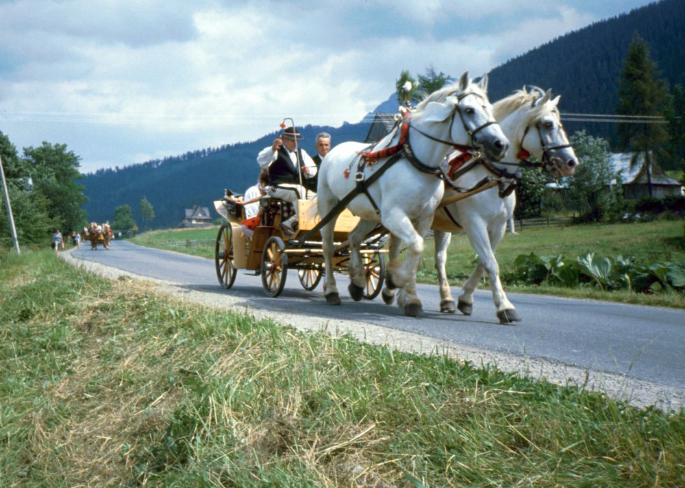 Klikni za ogled večje slike