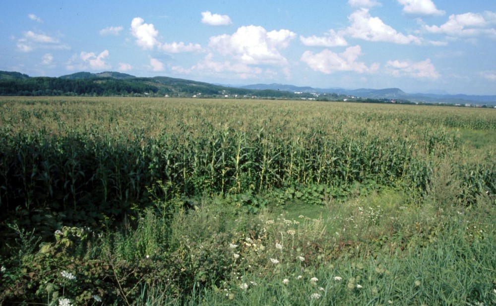 Klikni za ogled večje slike