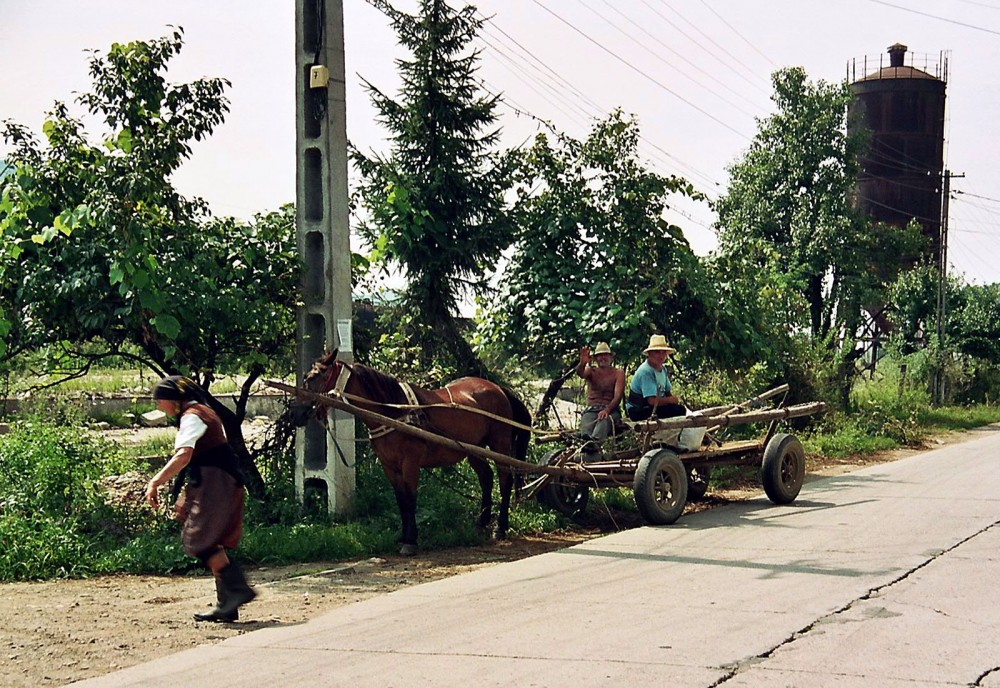 Klikni za sliku u punoj veličini