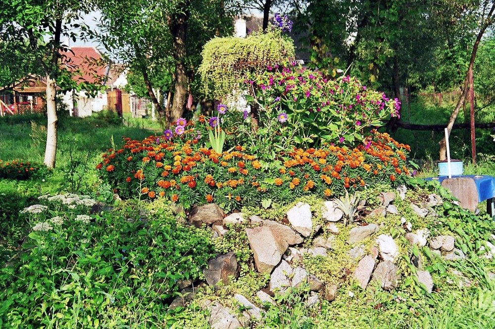 Klikni za ogled večje slike