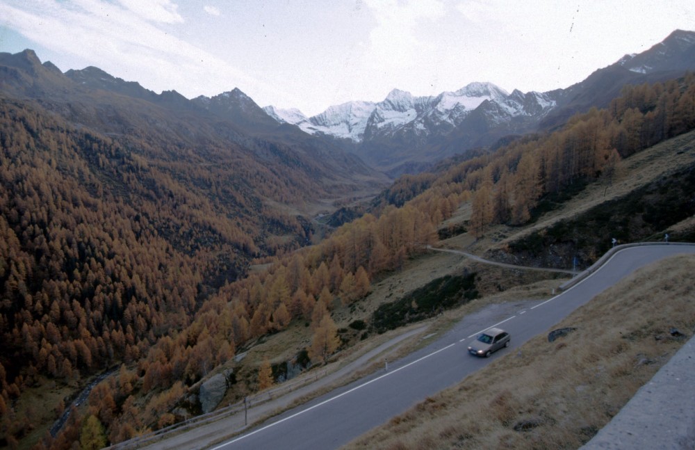 Clicca per vedere l'immagine alla massima grandezza