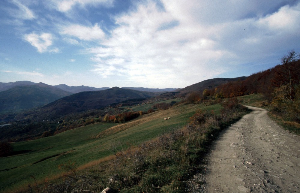 Clicca per vedere l'immagine alla massima grandezza