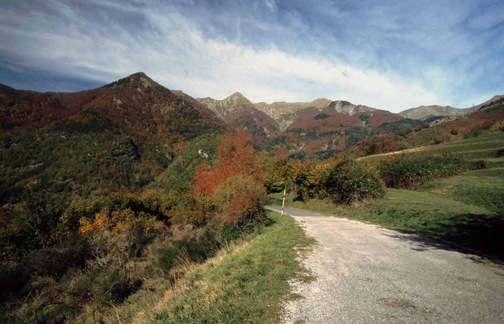 Clicca per vedere l'immagine alla massima grandezza