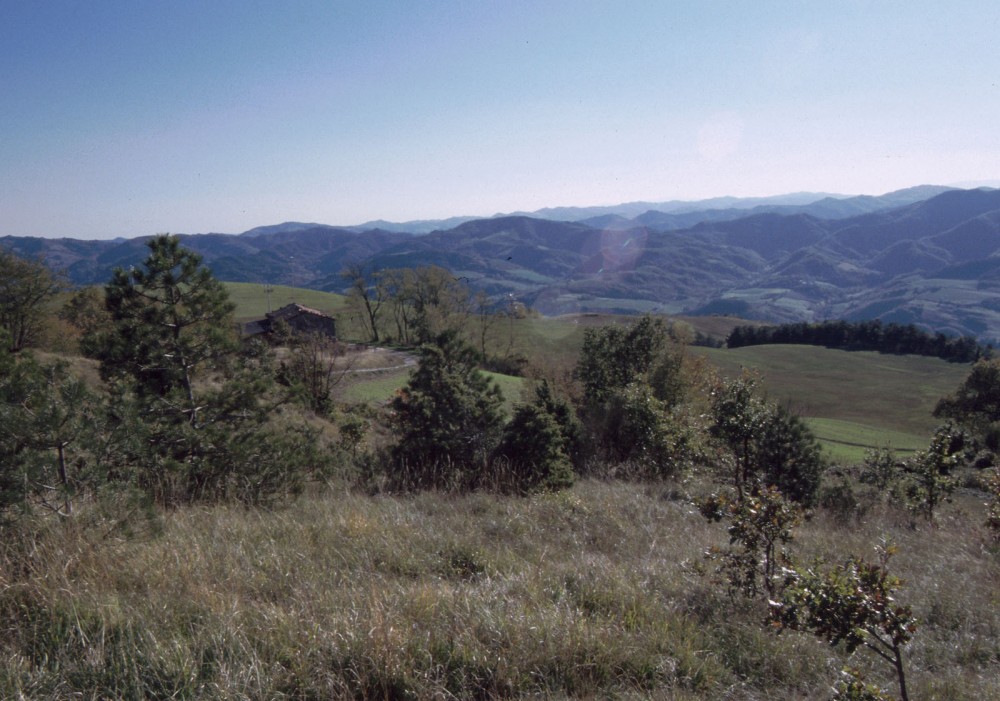 Klikni za ogled večje slike