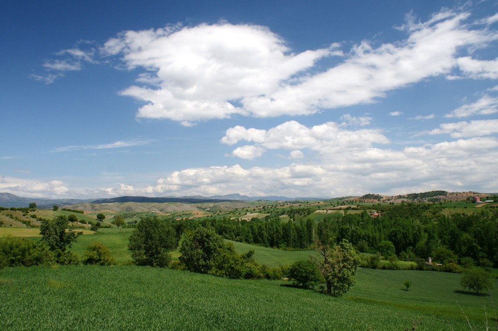 Klikni za ogled večje slike