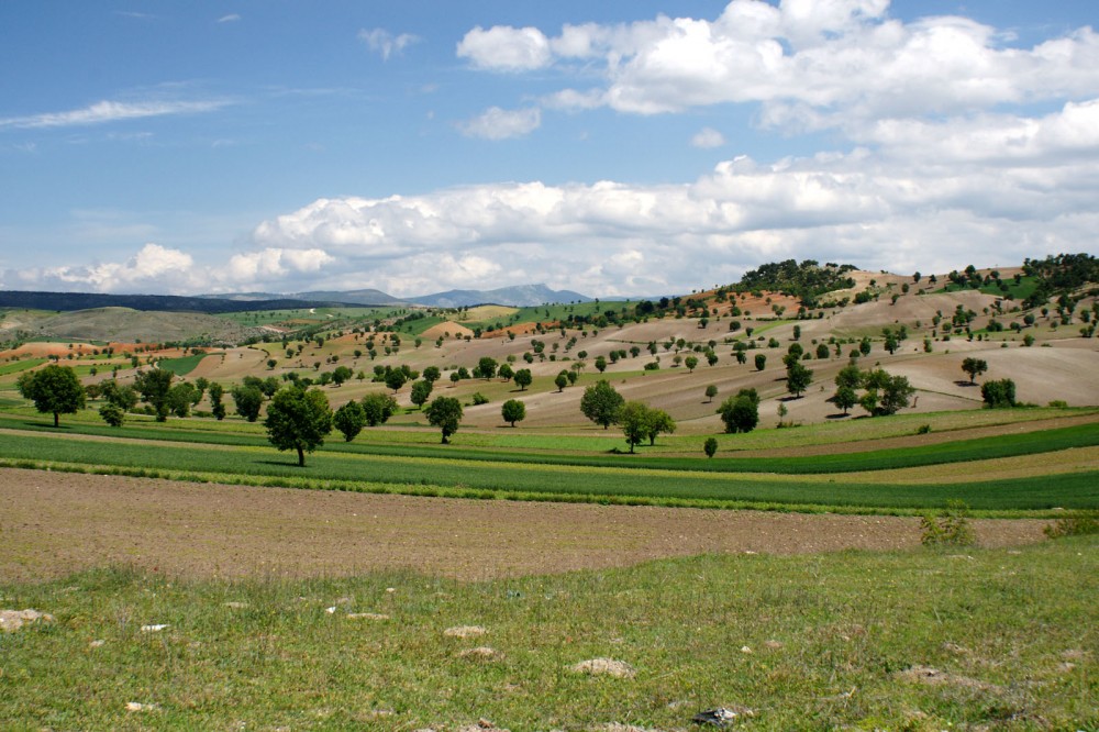 Klikni za ogled večje slike