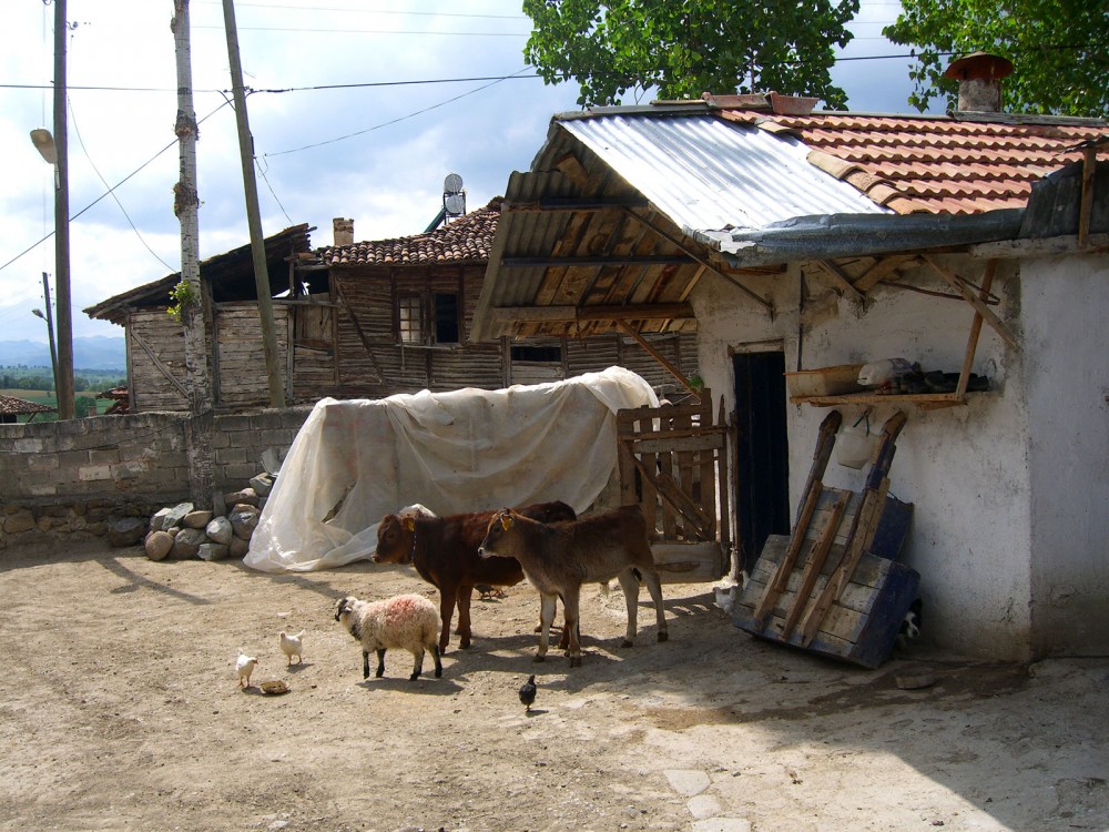 Tam boy resmi görebilmek için tıklayın