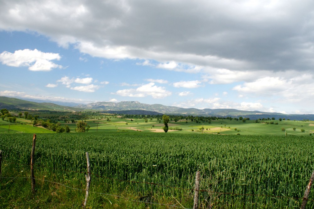 Klikni za ogled večje slike