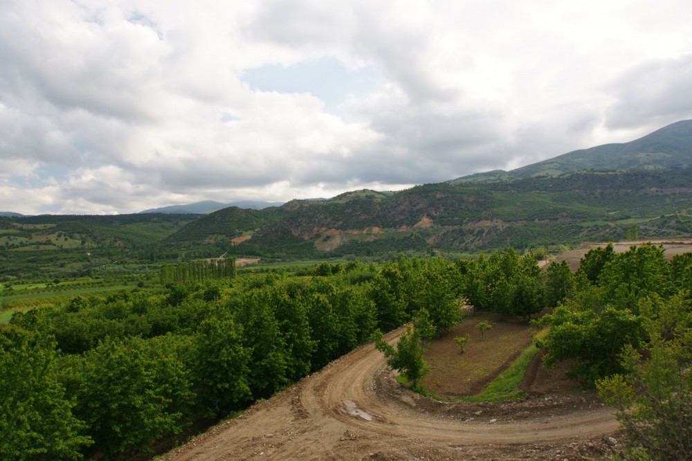 Klikni za ogled večje slike