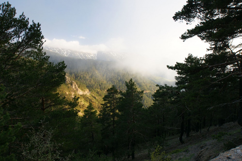 Klikni za ogled večje slike