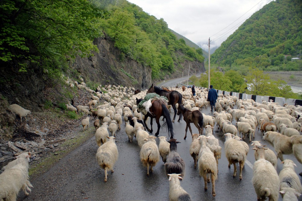 Klikni za sliku u punoj veličini