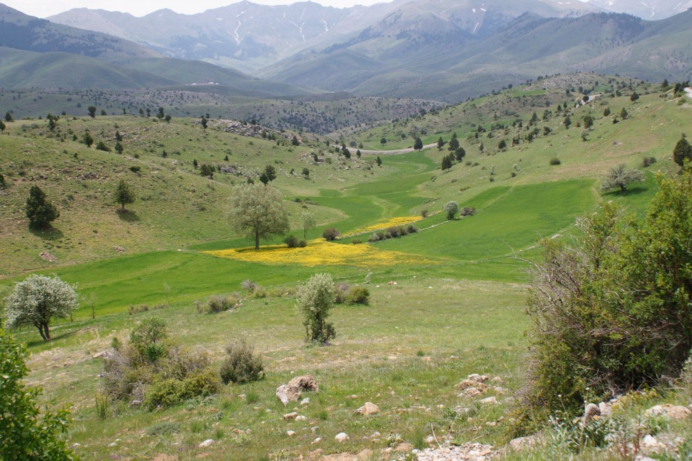 Klikni za ogled večje slike