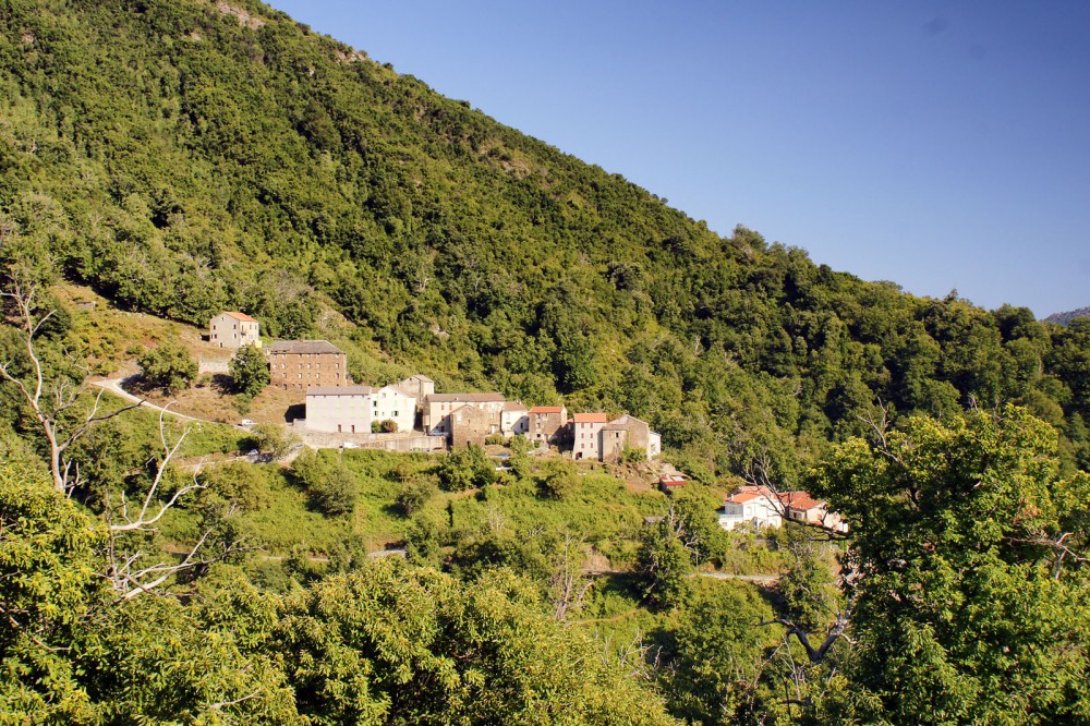 Klikni za ogled večje slike