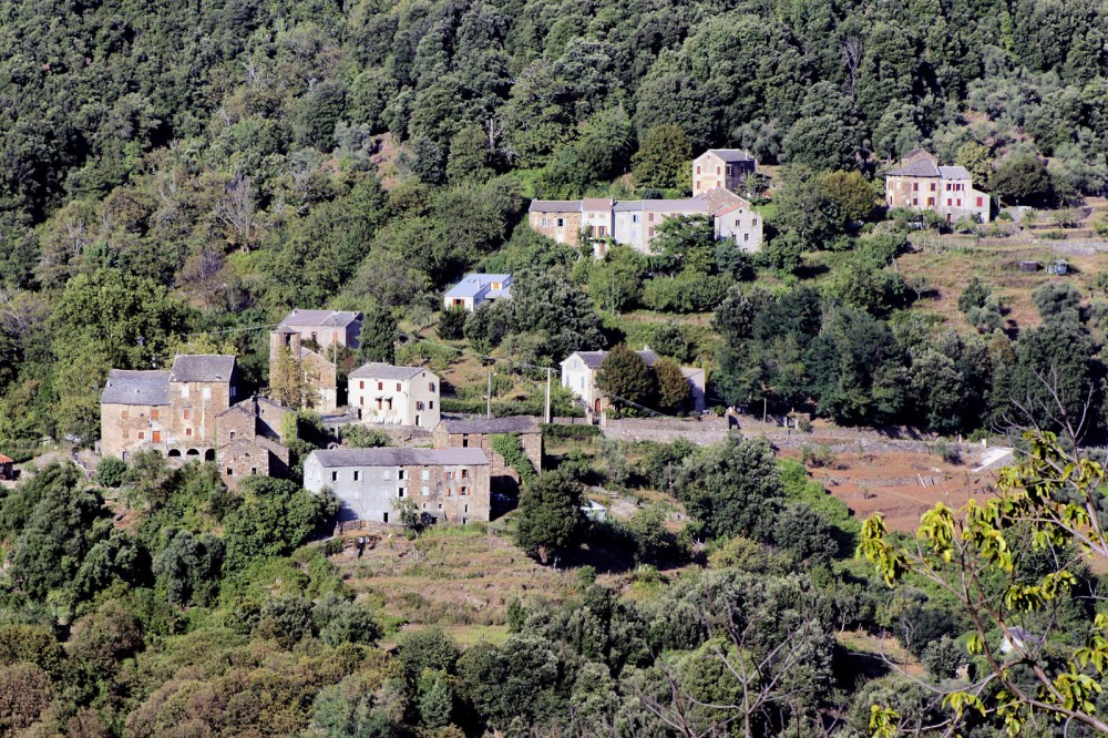 Klikni za ogled večje slike