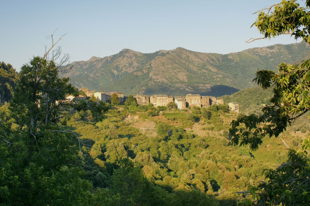 Klikni za ogled večje slike