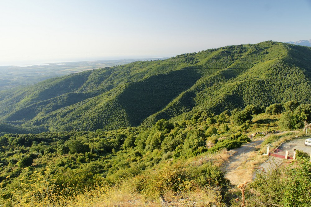 Clic pentru a vizualiza imaginea în dimensiunile reale