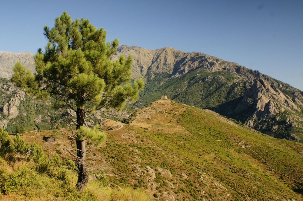 Klikni za ogled večje slike