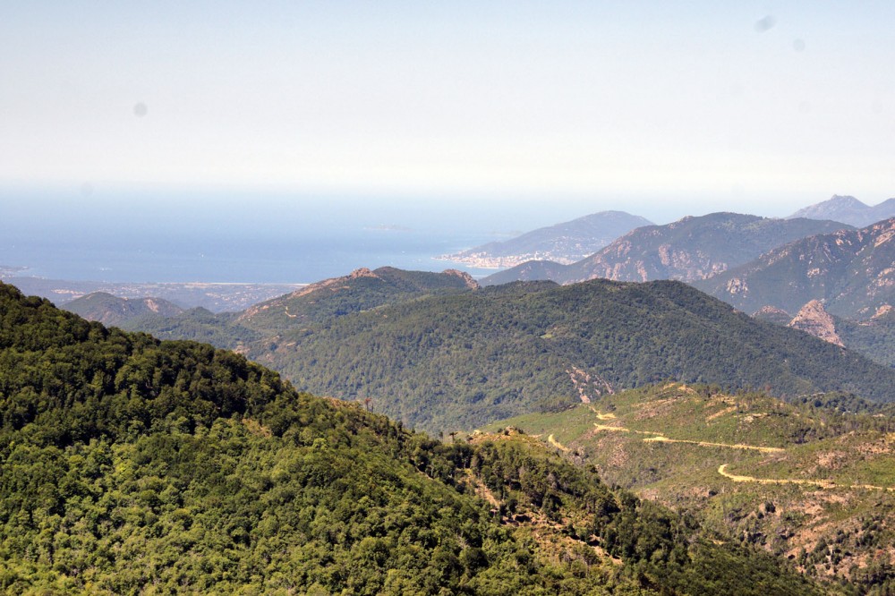 Klikni za ogled večje slike