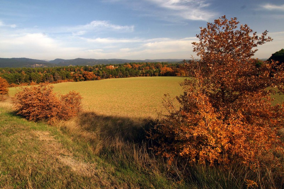 Klikni za ogled večje slike