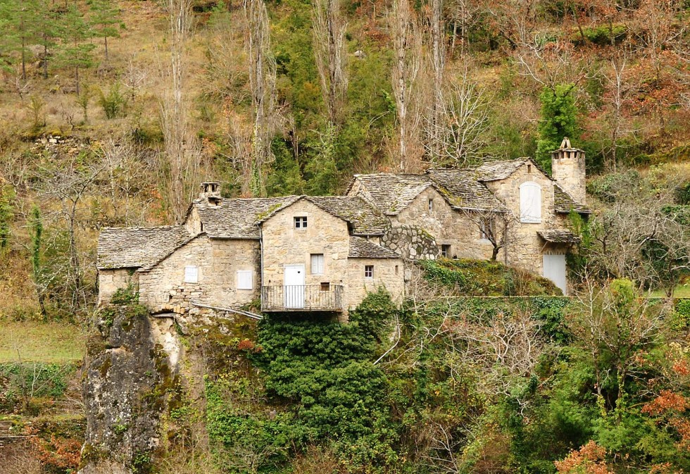 Clicca per vedere l'immagine alla massima grandezza