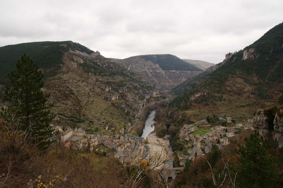 Clicca per vedere l'immagine alla massima grandezza