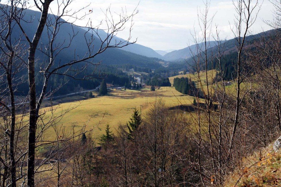 Clicca per vedere l'immagine alla massima grandezza