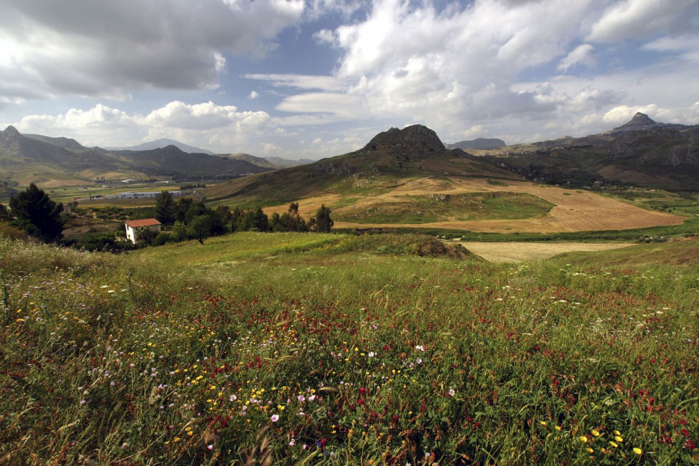 Klikni za ogled večje slike