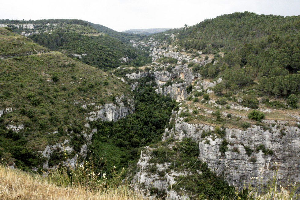 Klikni za ogled večje slike