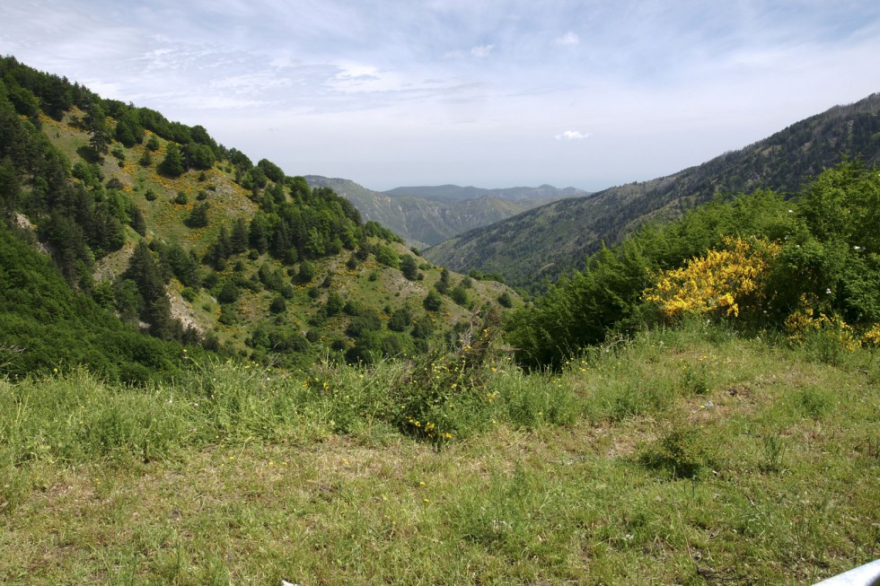 Klikni za ogled večje slike