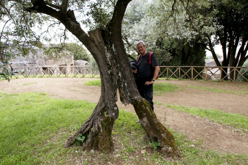 Klikni za ogled večje slike